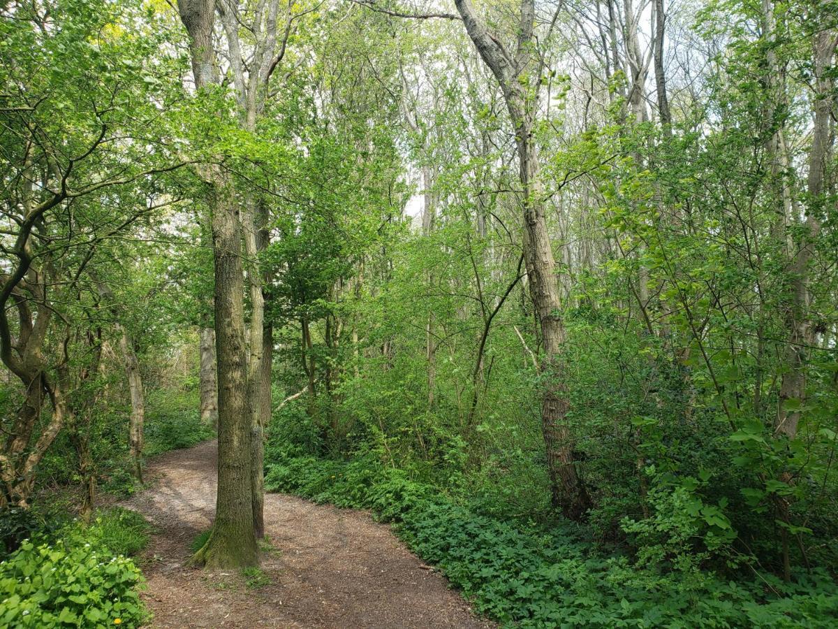 Duinnest Noordwijkerhout Exteriör bild